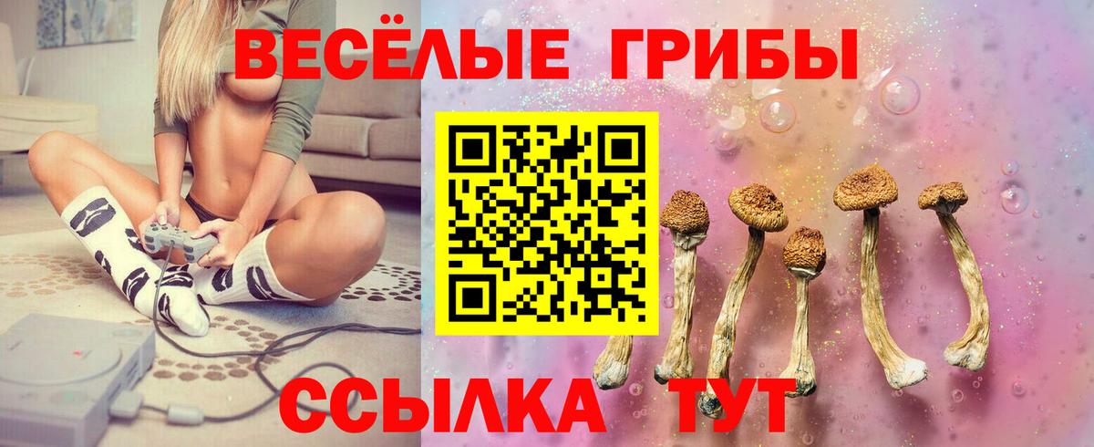 Волхов  Галлюциногенные грибы Psilocybine cubensis  Вход с VPN  Галлюциногенные грибы Psilocybine cubensis 